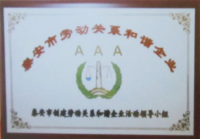 泰安市勞動關(guān)系和諧企業(yè)